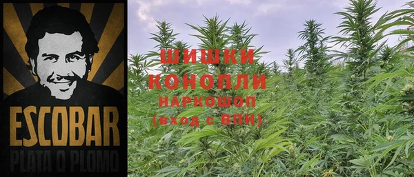 кокс Липки