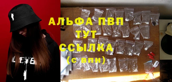 сатива Лихославль