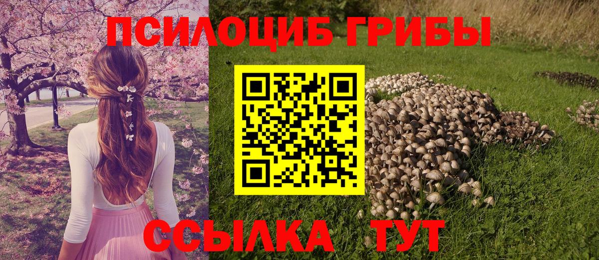 Галлюциногенные грибы мицелий Мелеуз