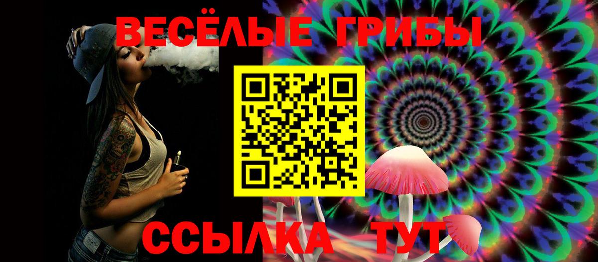 Галлюциногенные грибы GOLDEN TEACHER  где купить наркотик  Псилоцибиновые грибы мицелий  Мелеуз  Вход с VPN 